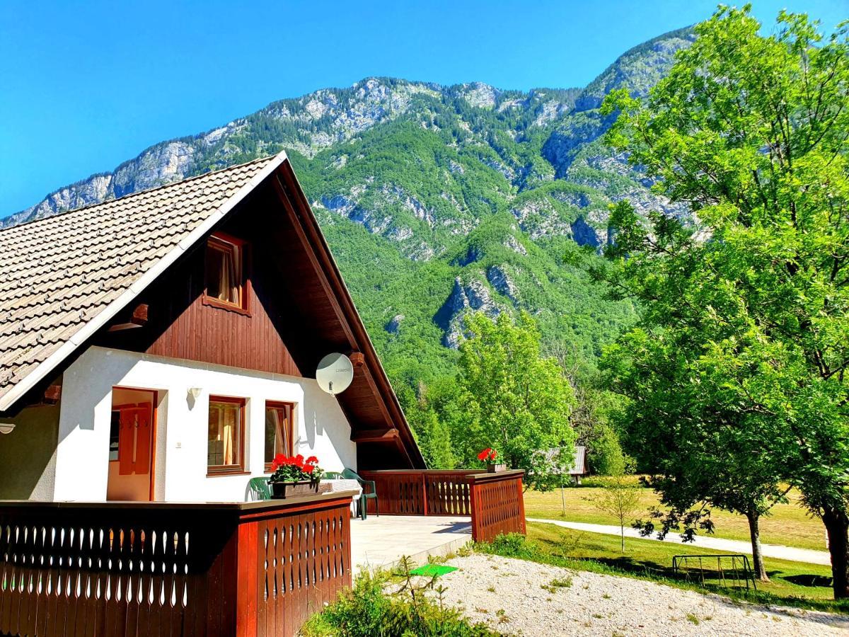 Bohinj Star Apartments المظهر الخارجي الصورة